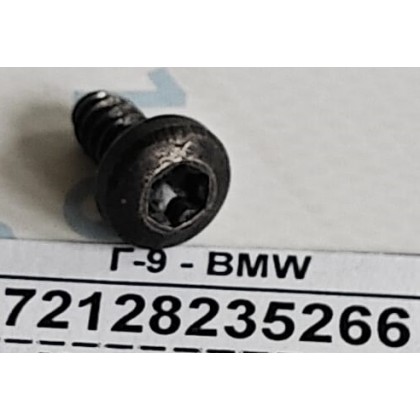 Саморез М6*13 кузова BMW E46 E83 б/у Саморез М6*13 кузова BMW E46 E83 б/у