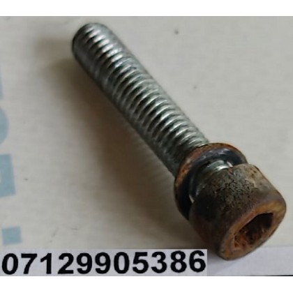 Болт М6*30*1,0 регулятора холостого хода BMW M43 M44 б/у